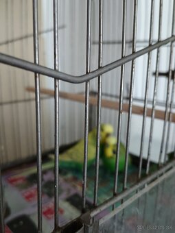 Predám - 3