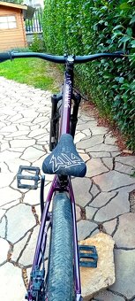 CTM Dirtking Xpert 2022 - 3