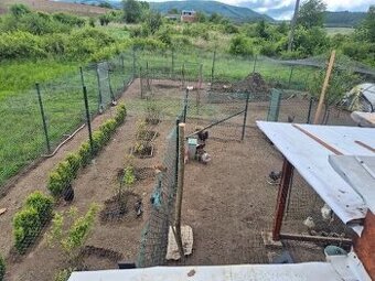 Predám siete na voliere - 3