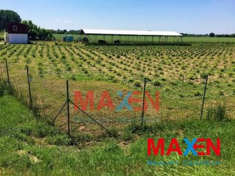 Predaj: MAXEN,Pozemok 12952 m2, vrátane haly 400 m2 a admi - 3