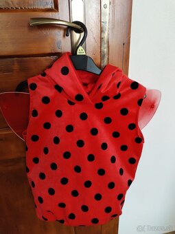 Karnevalový kostým - 3