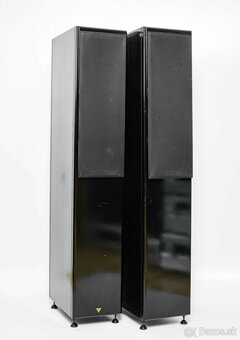 Vienna Acoustics Apis - 3