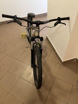 Ctm dirtking expert 2019 - 3