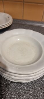 Hrubostenné taniere - 3