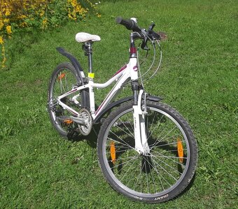 Dievčenský bicykel GIANT 24" - 3
