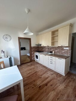 Prenajmem slnečný jednoizbový byt s balkónom v Nitre - 3