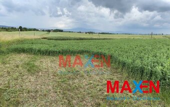 Predaj: MAXEN, Pozemok, 905 m2, Košice IV - Barca - 3