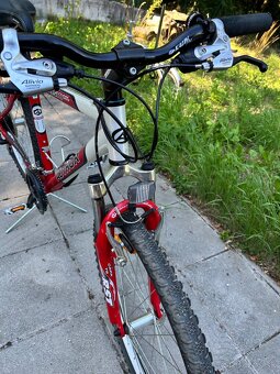 Author bicykel Damsky - 3