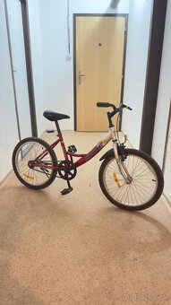 Detský bicykel Piranha Hercules 20 - 3