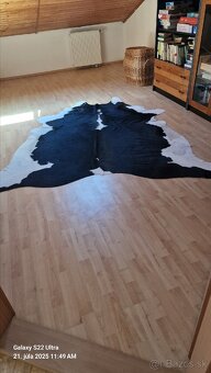 Koberec- pravá loža - 3