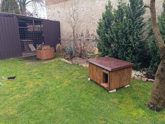 Psia buda-predaj. - 3