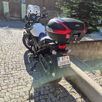 Suzuky v strom 650 - 3