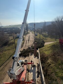 Výrub a orez stromov/Arboristika - 3