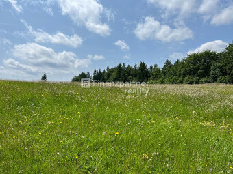 Investičný pozemok 3613 m2, Donovaly, Banská Bystrica - 3