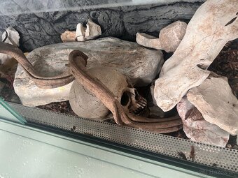 Terarium 100x40x40 - 3