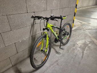 Cube Race 260 - 3