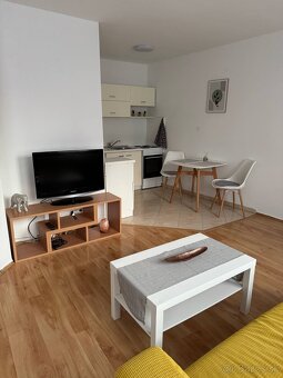 Na prenájom kompletne zariadený 1 izbový byt v DS - 3