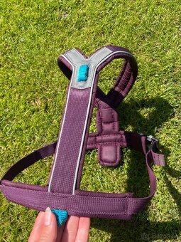 Non-stop dogwear model Line Harness 5.0 (staršia verzia) - 3