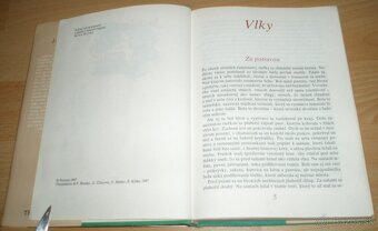 Hnedý vlk - 3