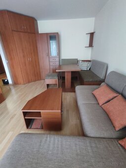 Na prenájom 1 izbový byt - 3