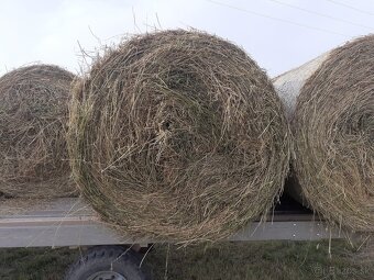 Lucerka seno - 3