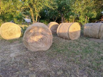 Seno - balíky - 3
