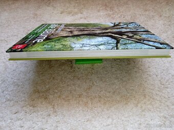 Deutschlands alte Bäume - 3