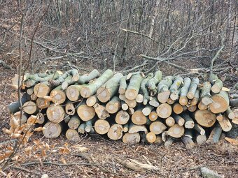Predám rôzne dub,buk,hrab tvrde palivove drevo , na fotke bu - 3