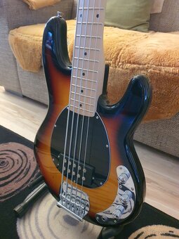 Basgitara 5-strunova - 3