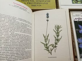 Knihy pre pestovateľov, zberateľov rastlín a iné (14 kníh) - 3