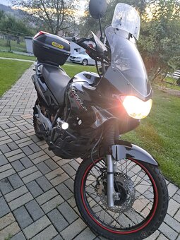Honda Transalp 650 - 3