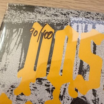 Nad prázdnou nocí kroužili sokoli LP limitovaná edice - 3