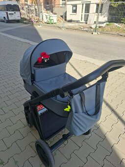 Roan ivi - 3