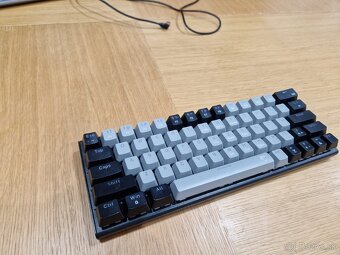 White shark - 3