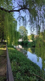 2 izbový byt na prenájom, ul. Študentská - 3