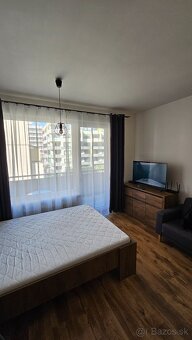 Pri Radnici - Garzonka na prenajom - 3