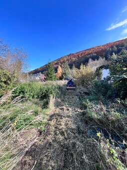 🌳 kosenie, orez / výrub stromov, ,odvoz 🌿 - 3