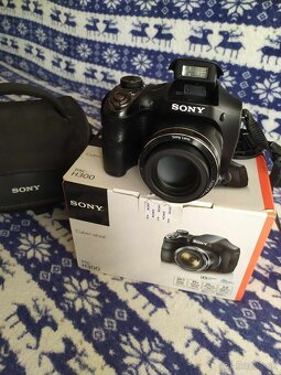 SONY H300 - 3