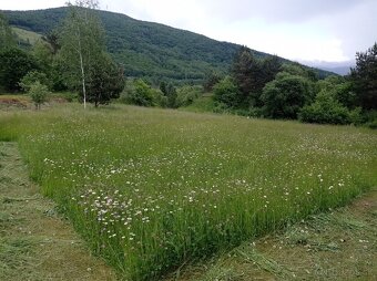 Seno pre drobné cicavce balené 1 KG - 3