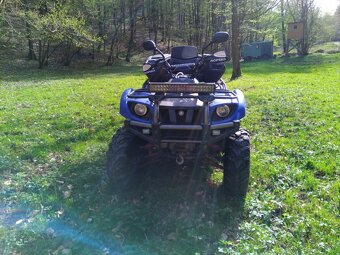 Yamaha Grizzly 660 - 3