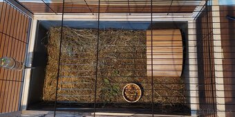 Klietka pre morča (zajac, škrečok, degu...) - 3