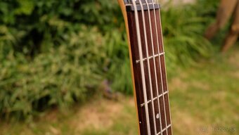 basgitara Spector Legend 5 Standard - 3