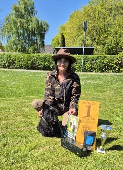 Scottish terrier - škotský teriér - 3