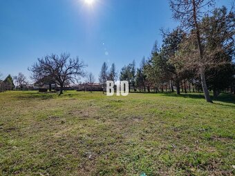 Rozľahlý pozemok s domom a lesíkom – ideálne pre hospodáreni - 3