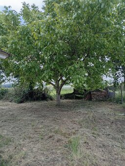 Predám vidiecky domček v pôvodnom stave - 3