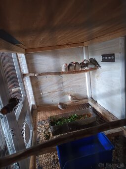 Predám zebričky - 3