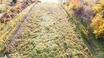 PREDAJ - RODINNÝ DOM S GARÁŽOU AJ VINOHRADOM 771 m² - 3