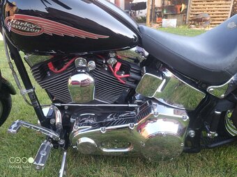 Harley Davidson Softail - 3