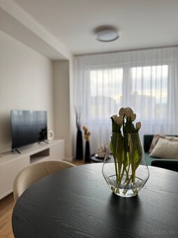 Prenájom, 2 izbový byt Krivá 18, Košice - Centrum - 3
