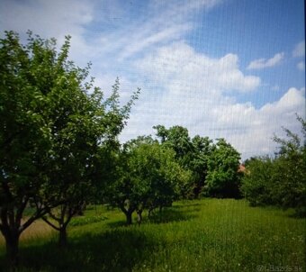 Rodinný dom v Lúčnici nad Žitavou - 3